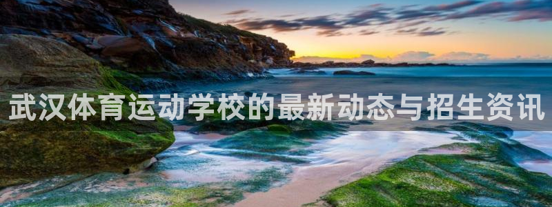 J9官网下载软件：武汉体育运动学校的最新动态与招生资