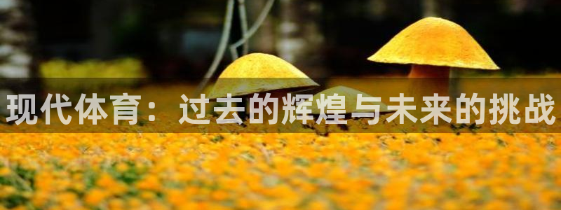 J9官网下载官方客服电话：现代体育：过去的辉煌与未来