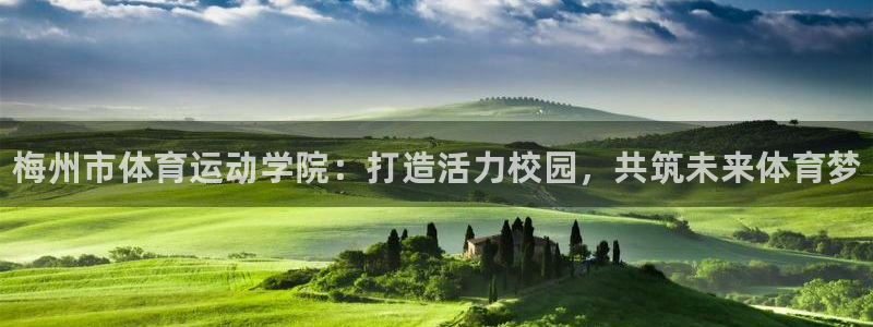 J9官方正版app娱乐下载：梅州市体育运动学院：打造