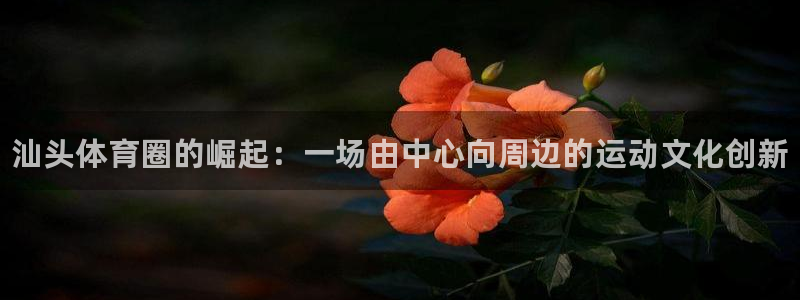 J9官网下载平台注册要钱吗安全吗：汕头体育圈的崛起：
