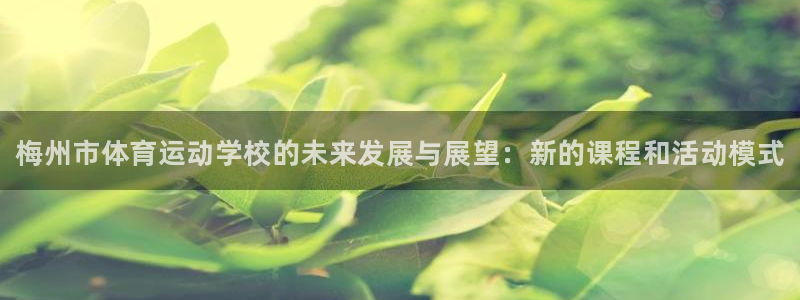 J9官方集团官网：梅州市体育运动学校的未来发展与展望