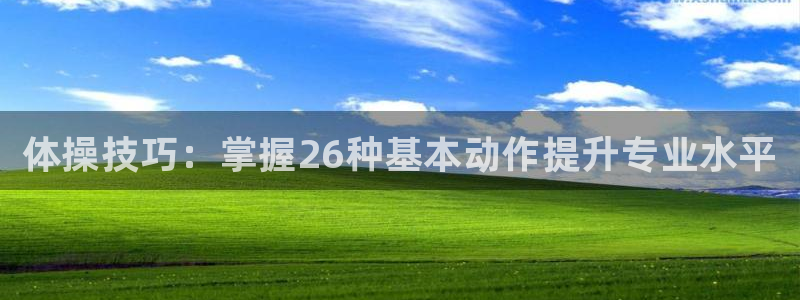 J9官方正版app官网：体操技巧：掌握26种基本动作