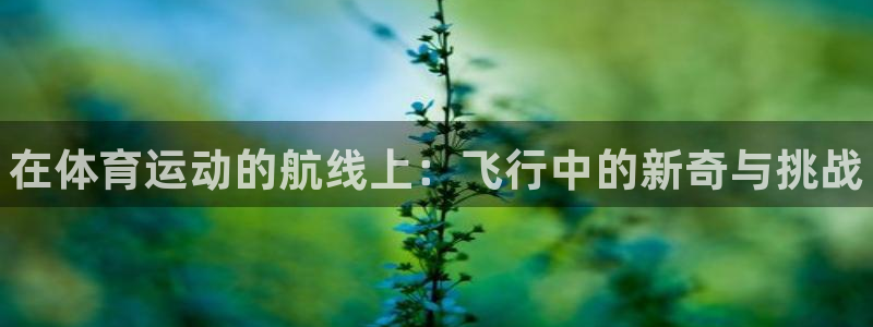J9官方正版app集团官网首页网址：在体育运动的航线
