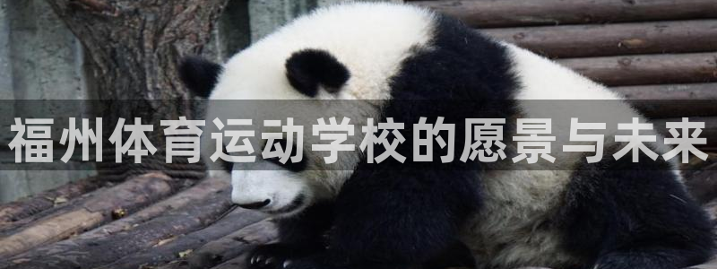 德国J9官方正版app集团：福州体育运动学校的愿景与