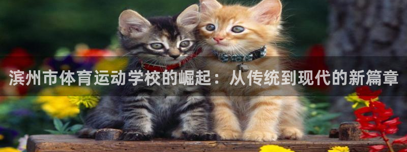 J9官网下载平台是正规平台吗：滨州市体育运动学校的崛