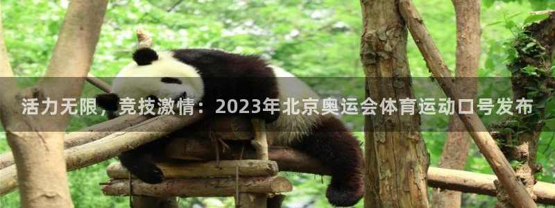 J9官网下载平台注册：活力无限，竞技激情：2023年
