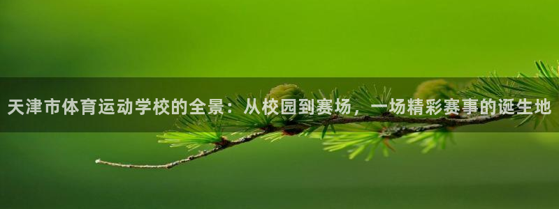 J9官网下载平台是正规平台吗安全吗：天津市体育运动学