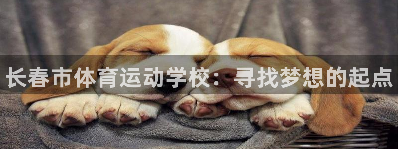 J9官网下载招商电话号码查询是多少：长春市体育运动学