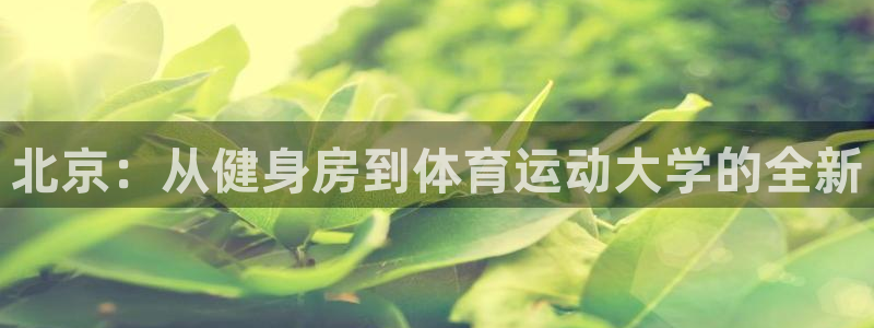 J9官网下载招商电话是多少啊